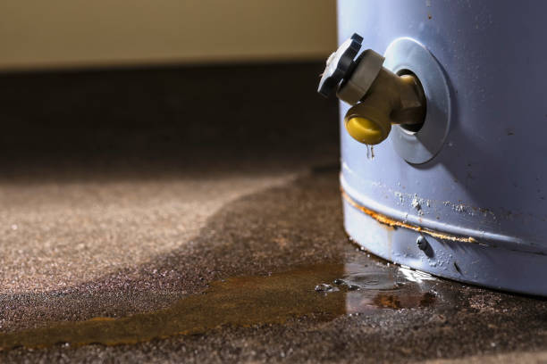 Best Flooded house restoration  in Ransom Canyon, TX
