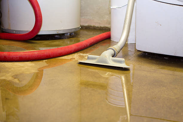 Best Carpet water damage restoration  in Ransom Canyon, TX