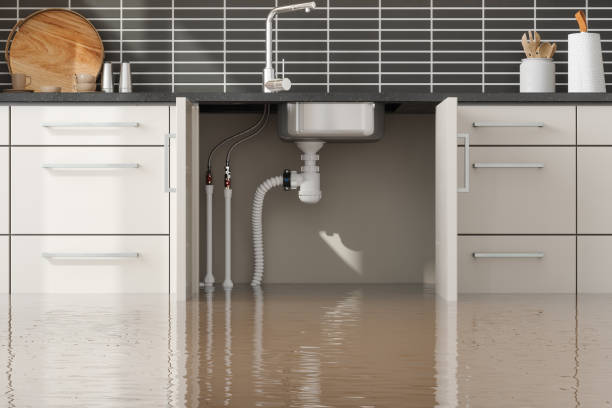 Best Sewage cleanup and water damage restoration  in Ransom Canyon, TX